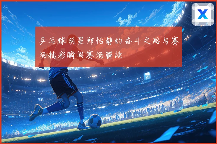 乒乓球明星郑怡静的奋斗之路与赛场精彩瞬间赛场解读