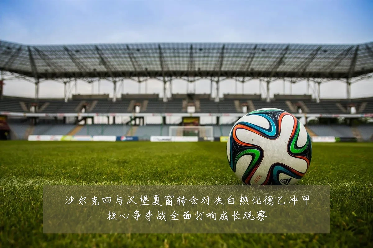沙尔克四与汉堡夏窗转会对决白热化德乙冲甲核心争夺战全面打响成长观察