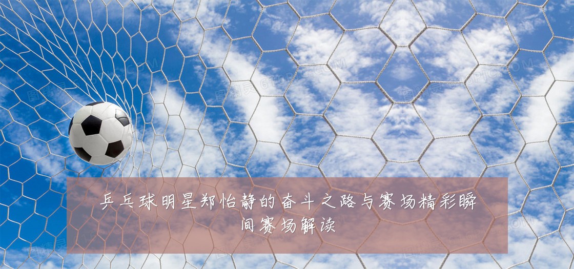 乒乓球明星郑怡静的奋斗之路与赛场精彩瞬间赛场解读